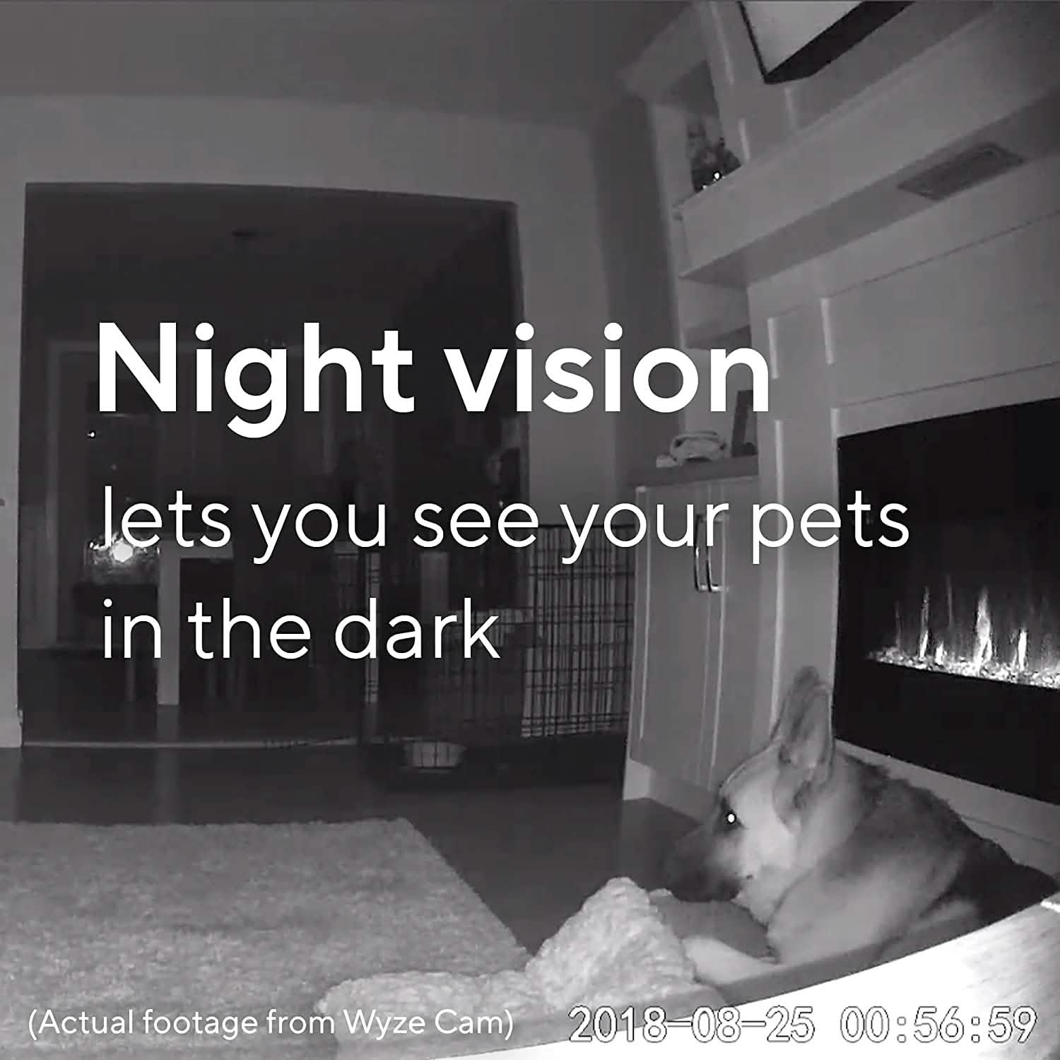 Wyze Cam V2 (Reconditionnée)