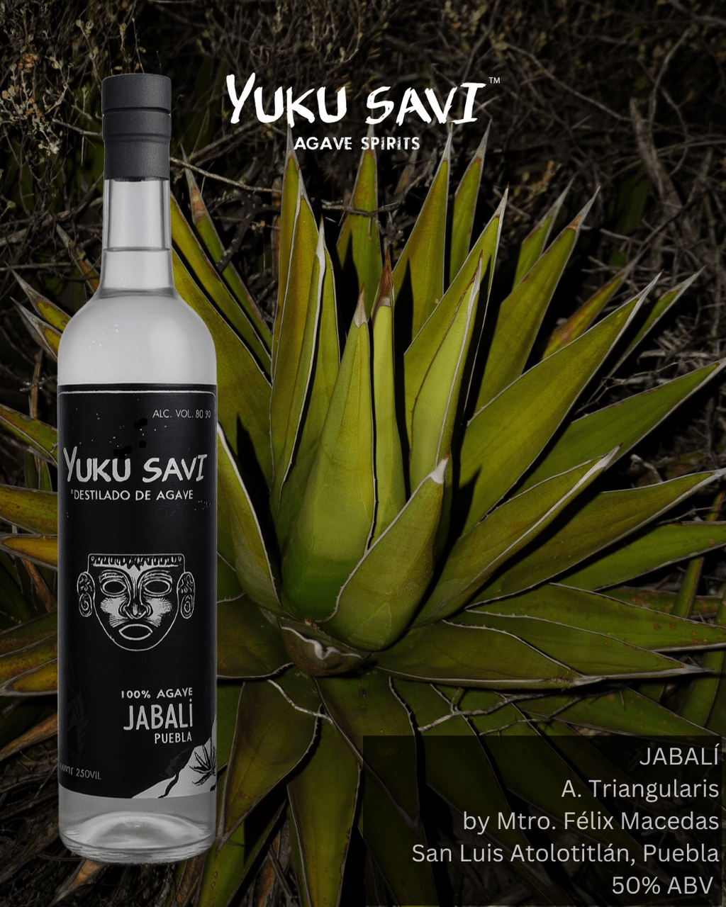 Yuku Savi - Mezcal 'Jabali' (Jabali | 750ML)
